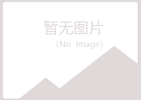 和政县夏槐能源有限公司